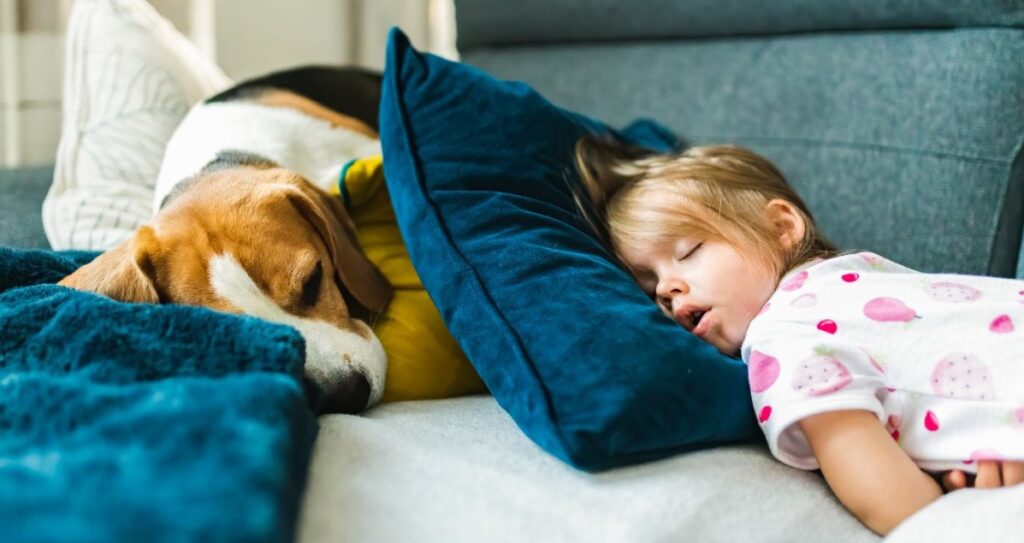 cute child with dog